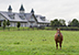 One of many stables near Woodford Reserve, Kentucky